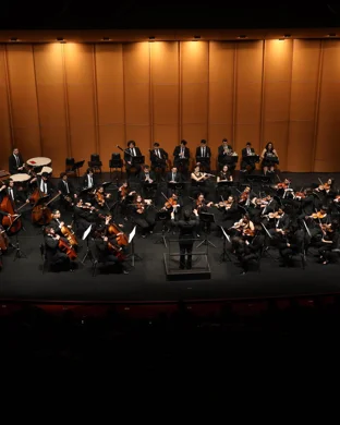 Diablo Symphony Orchestra Walnut Creek