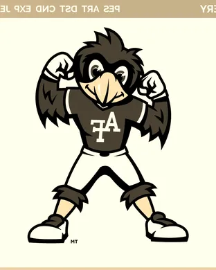 Air Force Falcons San Jose
