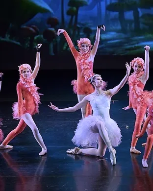 Alice In Wonderland - Ballet Walnut Creek