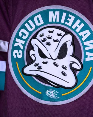 Anaheim Ducks Irvine