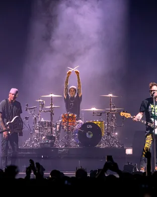 Blink-182 Mountain View
