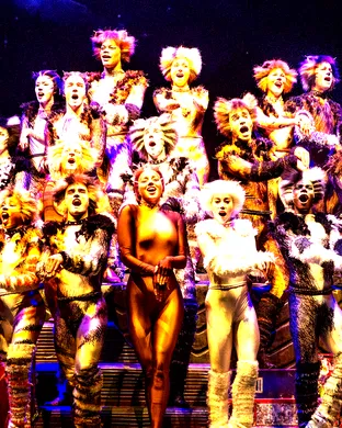 Cats - The Musical Berkeley