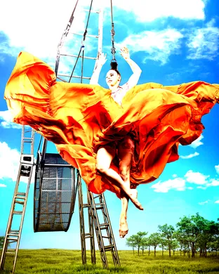 Cirque Mechanics Davis