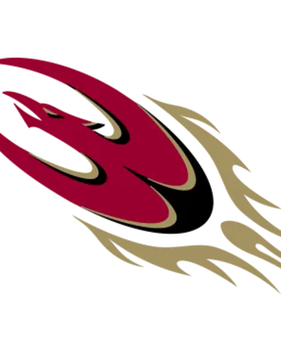 Elon Phoenix Stanford
