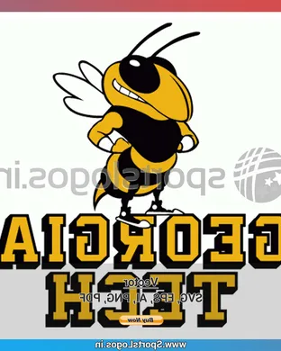 Georgia Tech Yellow Jackets Stanford