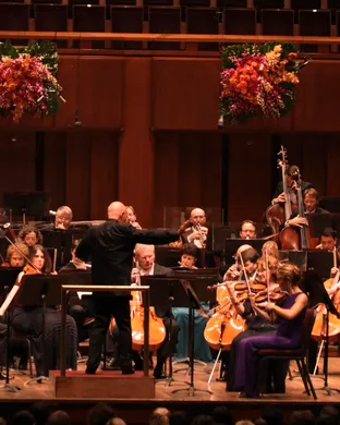 National Symphony Orchestra Davis