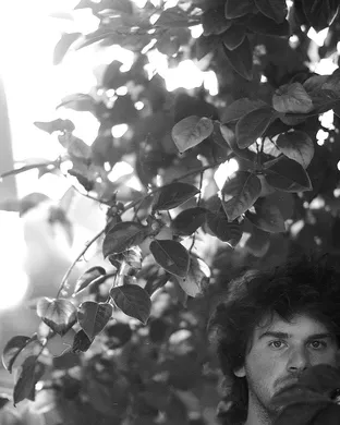 Nick Colletti Napa