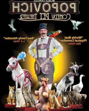 Popovich Comedy Pet Theater San Francisco