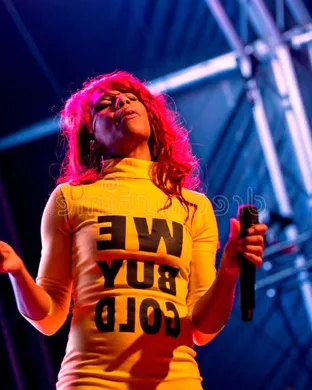 Santigold San Francisco