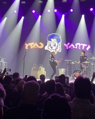 Stray Cats Saratoga