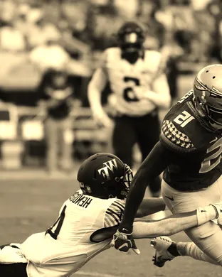 Wake Forest Demon Deacons Football Winston Salem