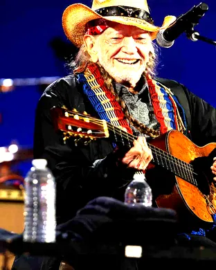 Willie Nelson Mountain View